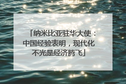 纳米比亚驻华大使：中国经验表明，现代化不光是经济腾飞