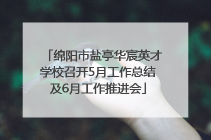 绵阳市盐亭华宸英才学校召开5月工作总结及6月工作推进会
