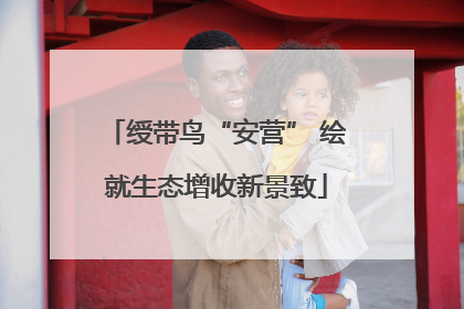 绶带鸟“安营” 绘就生态增收新景致