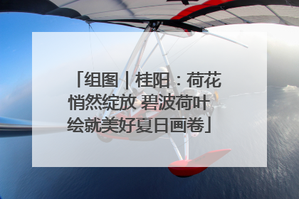 组图｜桂阳：荷花悄然绽放 碧波荷叶绘就美好夏日画卷