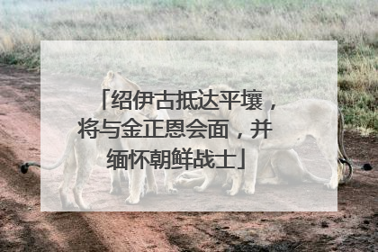 绍伊古抵达平壤，将与金正恩会面，并缅怀朝鲜战士