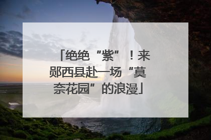 绝绝“紫”！来郧西县赴一场“莫奈花园”的浪漫