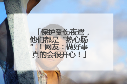 保护受伤夜鹭，他们都是“热心肠”！网友：做好事真的会很开心！
