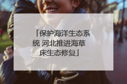 保护海洋生态系统 河北推进海草床生态修复