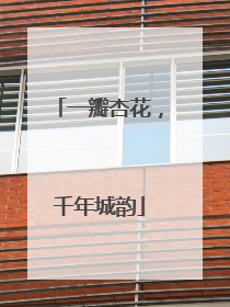 一瓣杏花，千年城韵