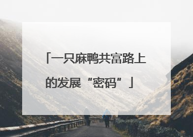 一只麻鸭共富路上的发展“密码”
