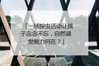 一场探虫活动让孩子念念不忘，自然课堂魅力何在？