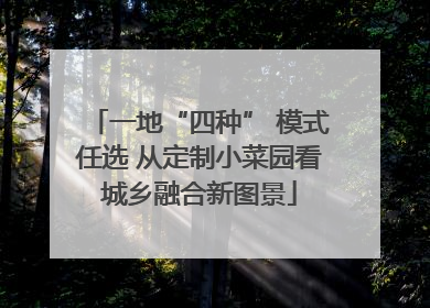 一地“四种” 模式任选 从定制小菜园看城乡融合新图景