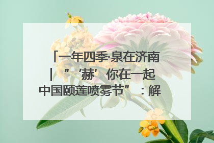 一年四季·泉在济南｜“‘赫’你在一起 中国颐莲喷雾节”：解锁济南夏日消费热潮中的国货新势力