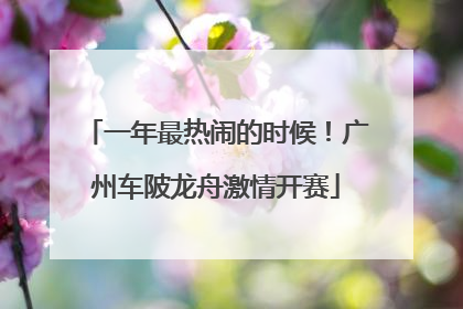 一年最热闹的时候！广州车陂龙舟激情开赛