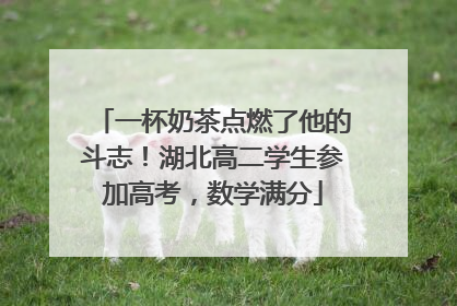 一杯奶茶点燃了他的斗志！湖北高二学生参加高考，数学满分