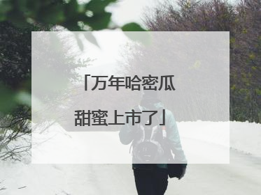 万年哈密瓜甜蜜上市了