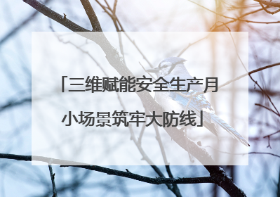 三维赋能安全生产月 小场景筑牢大防线