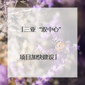 三亚“双中心”项目加快建设
