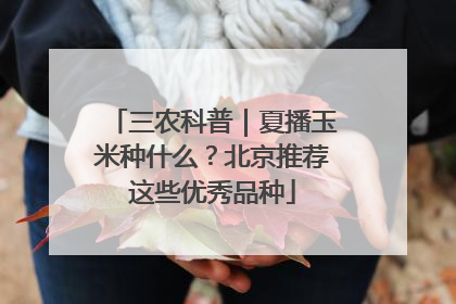三农科普｜夏播玉米种什么？北京推荐这些优秀品种