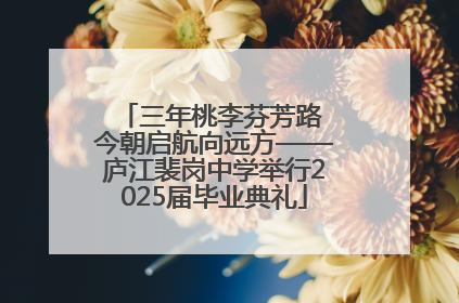 三年桃李芬芳路 今朝启航向远方——庐江裴岗中学举行2025届毕业典礼