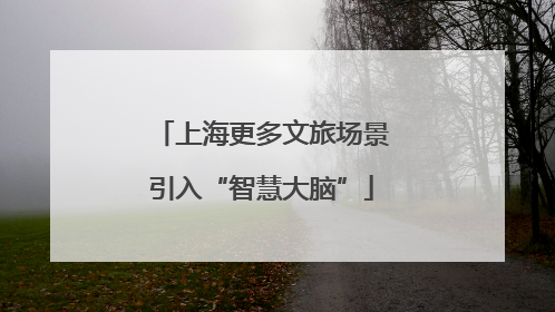 上海更多文旅场景引入“智慧大脑”