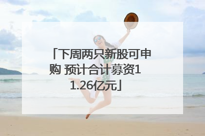 下周两只新股可申购 预计合计募资11.26亿元