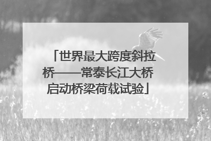 世界最大跨度斜拉桥——常泰长江大桥启动桥梁荷载试验
