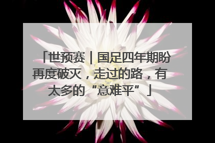 世预赛｜国足四年期盼再度破灭，走过的路，有太多的“意难平”