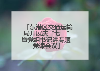 东港区交通运输局开展庆“七一”暨党组书记讲专题党课会议