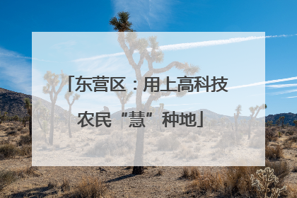 东营区：用上高科技 农民“慧”种地