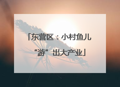 东营区：小村鱼儿“游”出大产业