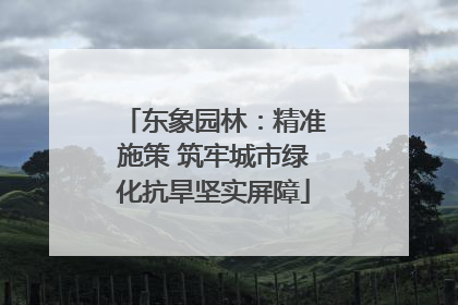 东象园林：精准施策 筑牢城市绿化抗旱坚实屏障