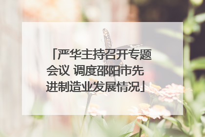 严华主持召开专题会议 调度邵阳市先进制造业发展情况