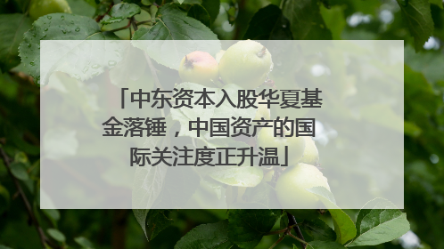 中东资本入股华夏基金落锤，中国资产的国际关注度正升温