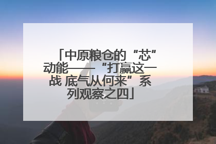 中原粮仓的“芯”动能——“打赢这一战 底气从何来”系列观察之四