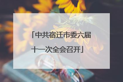 中共宿迁市委六届十一次全会召开