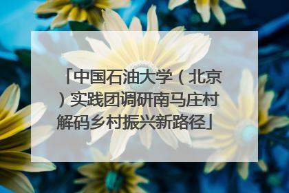 中国石油大学（北京）实践团调研南马庄村解码乡村振兴新路径
