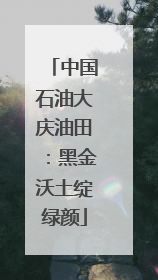 中国石油大庆油田：黑金沃土绽绿颜