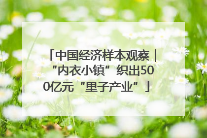 中国经济样本观察｜“内衣小镇”织出500亿元“里子产业”