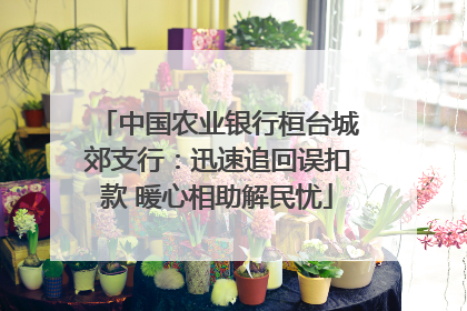 中国农业银行桓台城郊支行：迅速追回误扣款 暖心相助解民忧