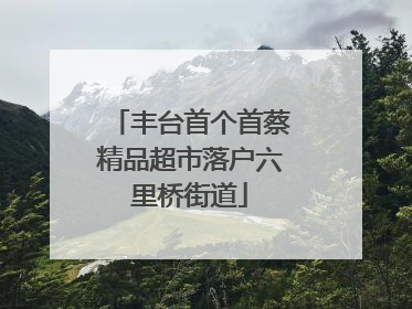 丰台首个首蔡精品超市落户六里桥街道