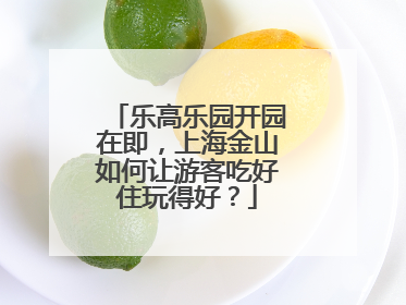 乐高乐园开园在即，上海金山如何让游客吃好住玩得好？