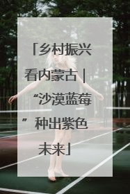 乡村振兴看内蒙古｜“沙漠蓝莓”种出紫色未来