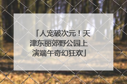人宠破次元！天津东丽郊野公园上演端午奇幻狂欢