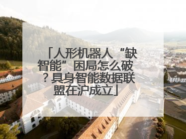 人形机器人“缺智能”困局怎么破？具身智能数据联盟在沪成立