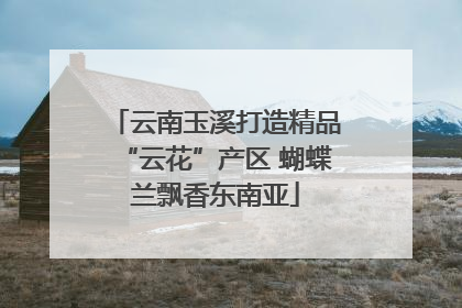 云南玉溪打造精品“云花”产区 蝴蝶兰飘香东南亚