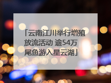 云南江川举行增殖放流活动 逾54万尾鱼游入星云湖