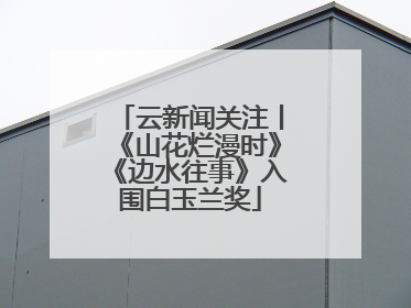 云新闻关注丨《山花烂漫时》《边水往事》入围白玉兰奖