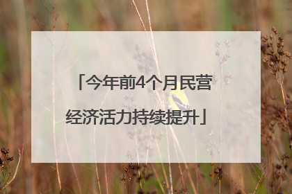 今年前4个月民营经济活力持续提升