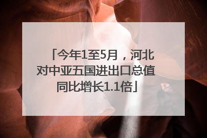 今年1至5月，河北对中亚五国进出口总值同比增长1.1倍