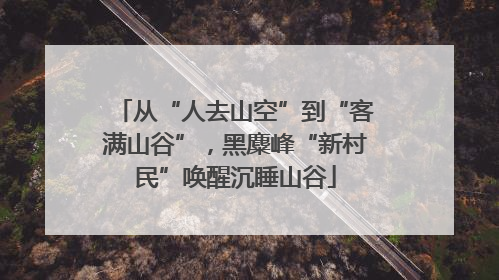 从“人去山空”到“客满山谷”，黑麋峰“新村民”唤醒沉睡山谷