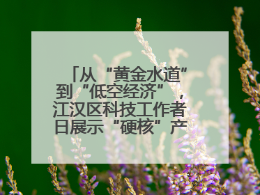 从“黄金水道”到“低空经济”，江汉区科技工作者日展示“硬核”产业答卷