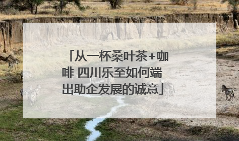 从一杯桑叶茶+咖啡 四川乐至如何端出助企发展的诚意