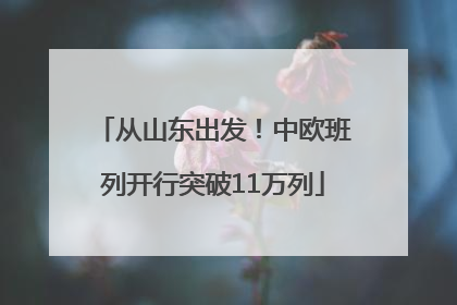 从山东出发！中欧班列开行突破11万列